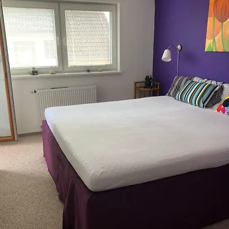 Podkrovni Apartman V Soukromi S Fitness Na Venkove Appartement Kamenný Újezd